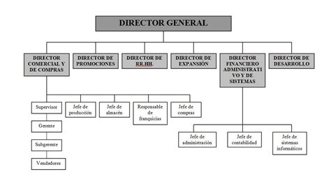 organigrama de la empresa gucci|gucci organizational chart.